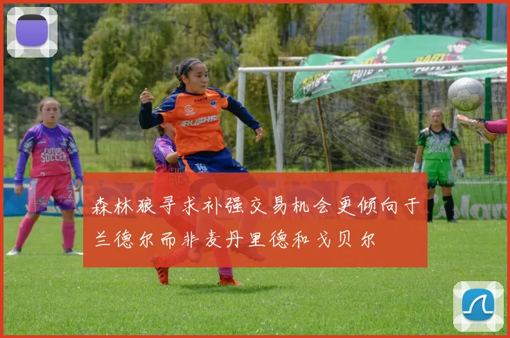 森林狼寻求补强交易机会更倾向于兰德尔而非麦丹里德和戈贝尔